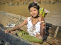 niña flor de loto birmania myanmar